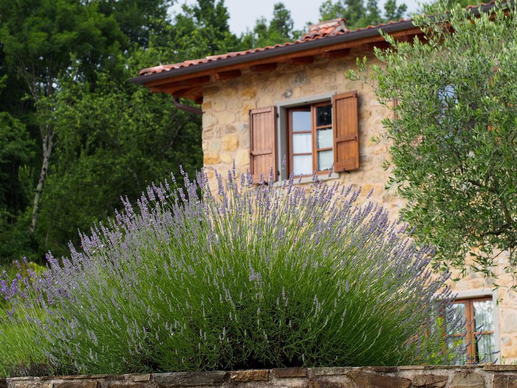 Il Giardino Di Rosmarino Bed & Breakfast Понтремоли Екстериор снимка